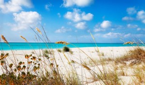 travel-information
