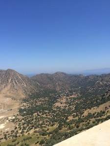 IMG_2134